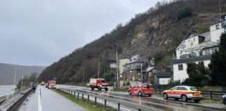 319905900 1288981685257835 5642856693169145412 n e1671706178707