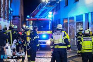 Hunderte hunde und katzen entlaufen an silvester - so schützen sie ihr tier