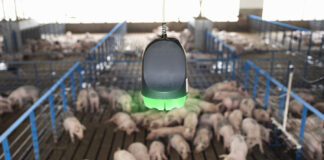 Boehringer Soundtalk