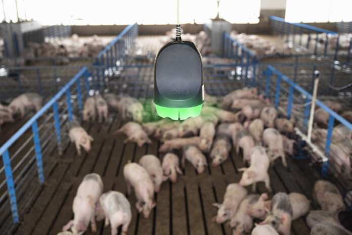 Boehringer Soundtalk