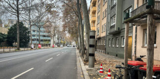 D8DE24A8 8706 44EE B2A9 57F724717BDA scaled