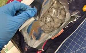 Ecstasyinhundefutter scaled