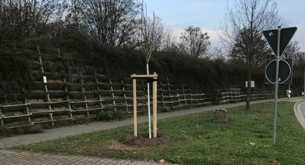 IMG 2896 scaled e1671527492362