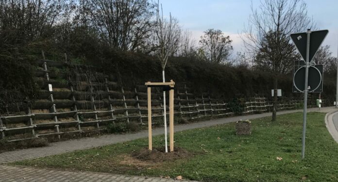 IMG 2896 scaled e1671527492362