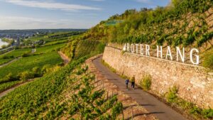 Steuertipps: ehrenamt und steuererklärung - diese freibeträge gibt es 2023