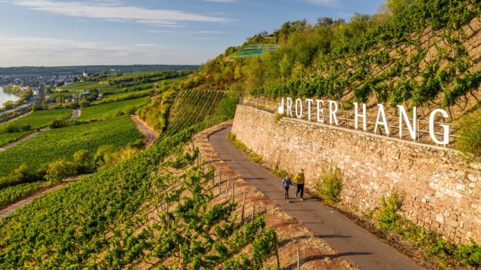 image e1670409035639