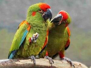 Kurzzeitige vollsperrung zwischen wiesbaden und hofheim