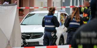 3652BE2E 7CDE 48B5 BEFA 122DFAB2CA09 scaled