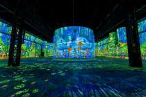 14-tägige baumfällungen im wald in oppenheim