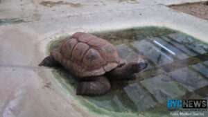 Tigz in ginsheim-gustavsburg unterschreibt charta für mehr nachhaltigkeit