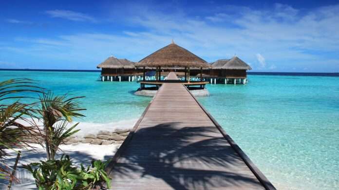 beach g074d32178 1920 e1673607024795 beach g074d32178 1920 e1673607024795