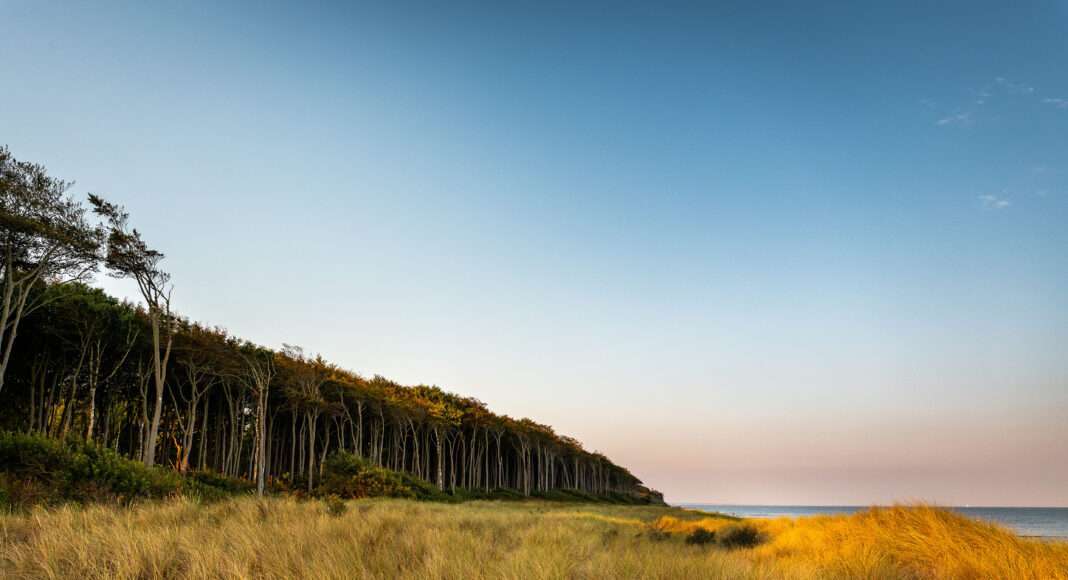 p 71275bild3Foto djdTourismus und Kur GmbH Graal MueritzAndre Pristaff TuK Graal Mueritz scaled