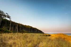 Die günstigsten fortbewegungsmittel – so kann gespart werden