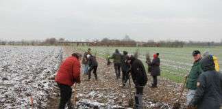 ua pflanzaktion cr einpflanzen