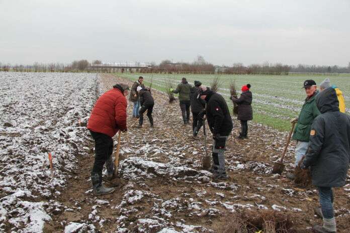 ua pflanzaktion cr einpflanzen