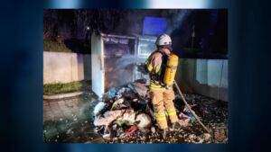 Richtige pflege für die monstera - schädlinge, braune und gelbe flecken vermeiden