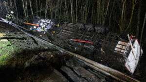 Sexueller missbrauch von kindern - polizei verhaftet mann in groß-gerau