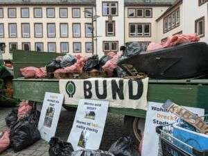 Urteil gegen aew-star jeff hardy - richter verurteilt hardy zu gefängnisstrafe Urteil gegen aew-star jeff hardy - richter verurteilt hardy zu gefängnisstrafe