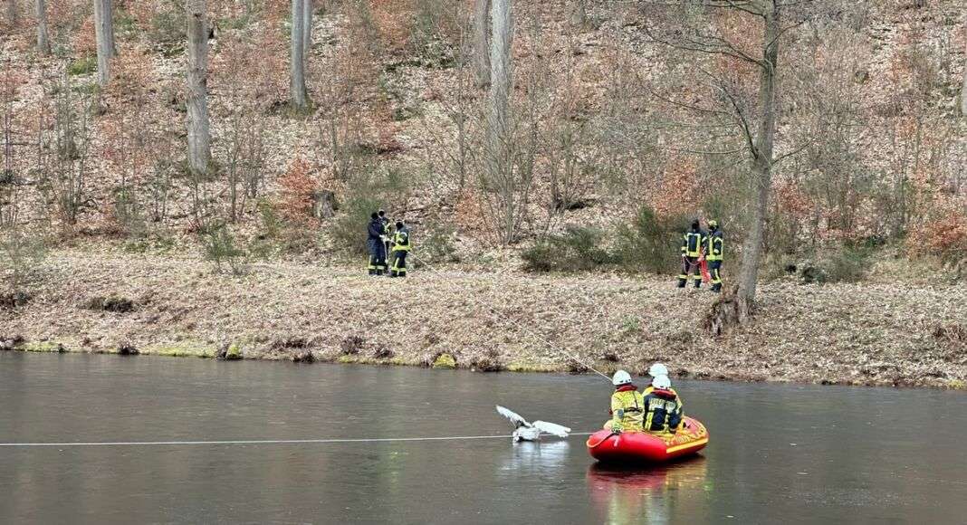 Rettungsaktion.jpg