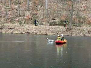 Beliebte würfelspiele für kinder und erwachsene