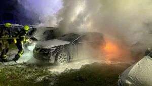 Wenige zentimeter können auch ihr leben retten