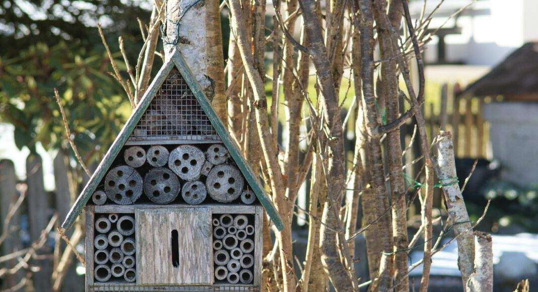 Insektenhotel