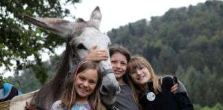 p 71675bild1Foto djdwwwwwfdeMilena Nass