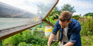 p 71745bild1Foto djdFloragard