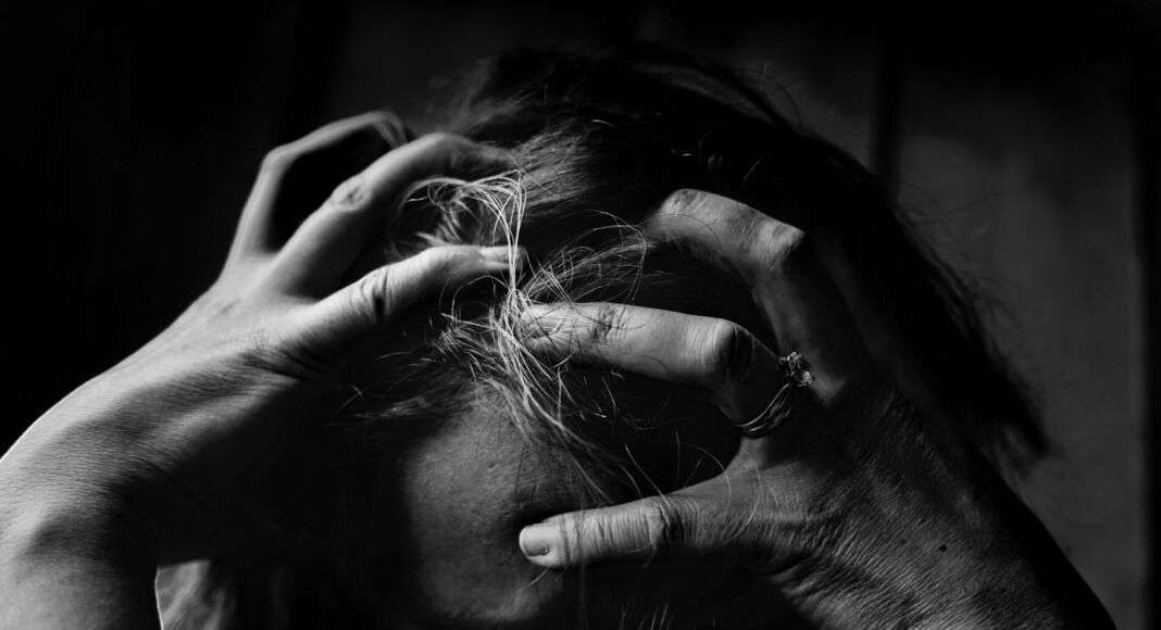 pexels kat smith 551588 pexels kat smith 551588