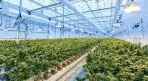 Neubau des sportparks rheinhöhe in wiesbaden wirft erste schatten voraus