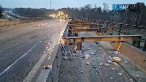 Die richtigen pflanzen für insekten im garten - lavendel, sonnenhut und co.