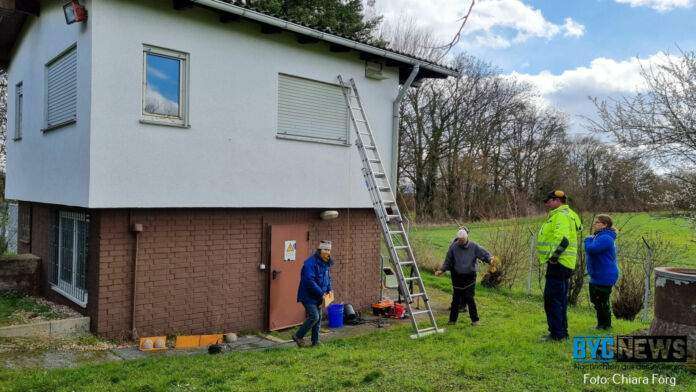 Arbeitseinsatz des NABU in Riedstadt-Crumstadt