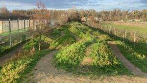 Eröffnung der neuen pumptrack-bahn in oppenheim