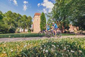 Vom odenwald nach speyer - kulinarische feste und idyllische freilichtmuseen