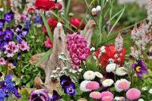 Das perfekte blumenbeet im eigenen garten