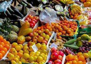 Frische vielfalt: jetzt ist die perfekte zeit für obst und gemüse der saison