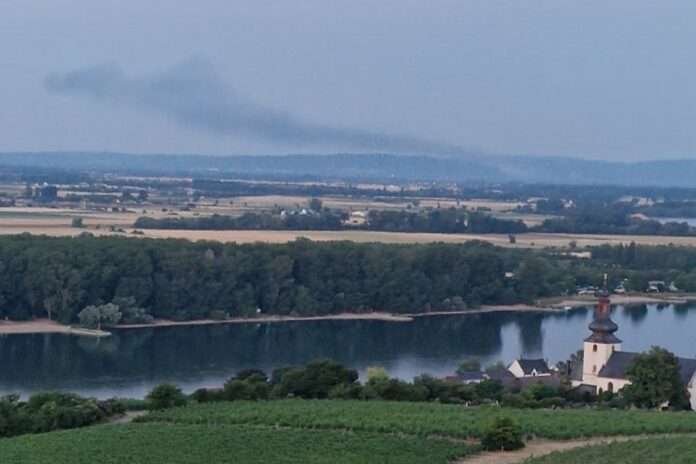 5c31a601-7aa6-47ab-8165-1bad48958e1f