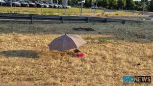 Mainz: was hat es mit dem regenschirm am mombacher kreisel auf sich? Mainz: was hat es mit dem regenschirm am mombacher kreisel auf sich?