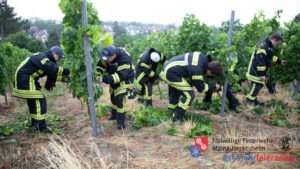 Feuerwehr mainz-hechtsheim bringt jubiläumswein '112er löschwoi' heraus