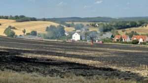 Was kostet eine entrümpelung in berlin?