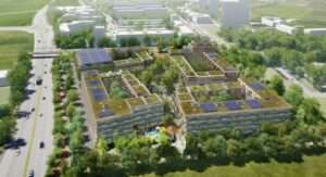 Führung über den dachstuhl der katharinenkirche