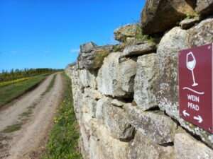 Eröffnung vom neuen weinpfad in großwinternheim 1
