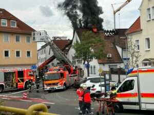 Warnung der stadtpolizei wiesbaden - giftköder auf wiese festgestellt
