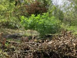 Polizei südhessen sucht zeugen nach unfallflucht in kelsterbach
