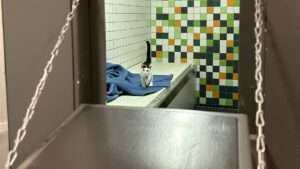 Südhessen: polizei erwischt flauschigen einbrecher auf frischer tat