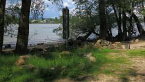 Arbeitskreis umwelt mombach: vorschlag von herr kanka kann nicht ernst gemeint sein