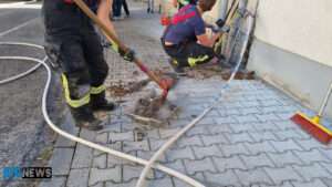 Feuerwehreinsatz in ingelheim - anwohner verhinderten schlimmeres Feuerwehreinsatz in ingelheim - anwohner verhinderten schlimmeres