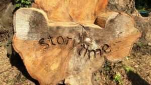 Die 7 besten gegenden für einen tagesausflug in hessen