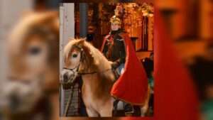 Informationen zur sperrmüllabholung in mörfelden-walldorf