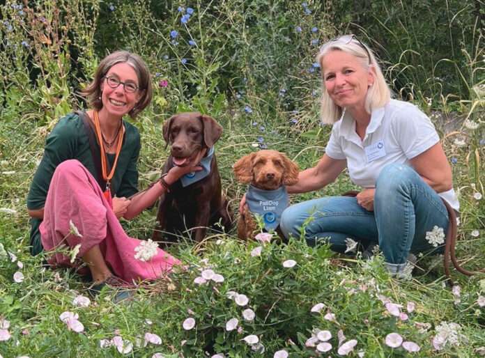 Bild 1_Tiergestützte Therapie mit Hund